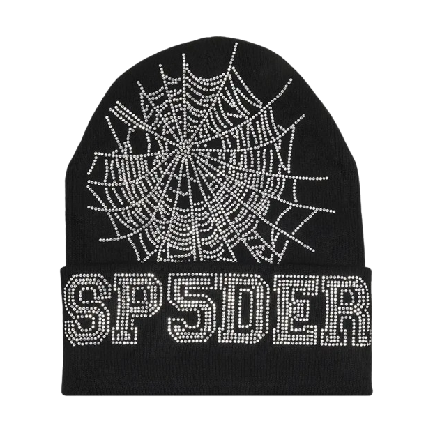 Sp5der Web Beanie 'Black'