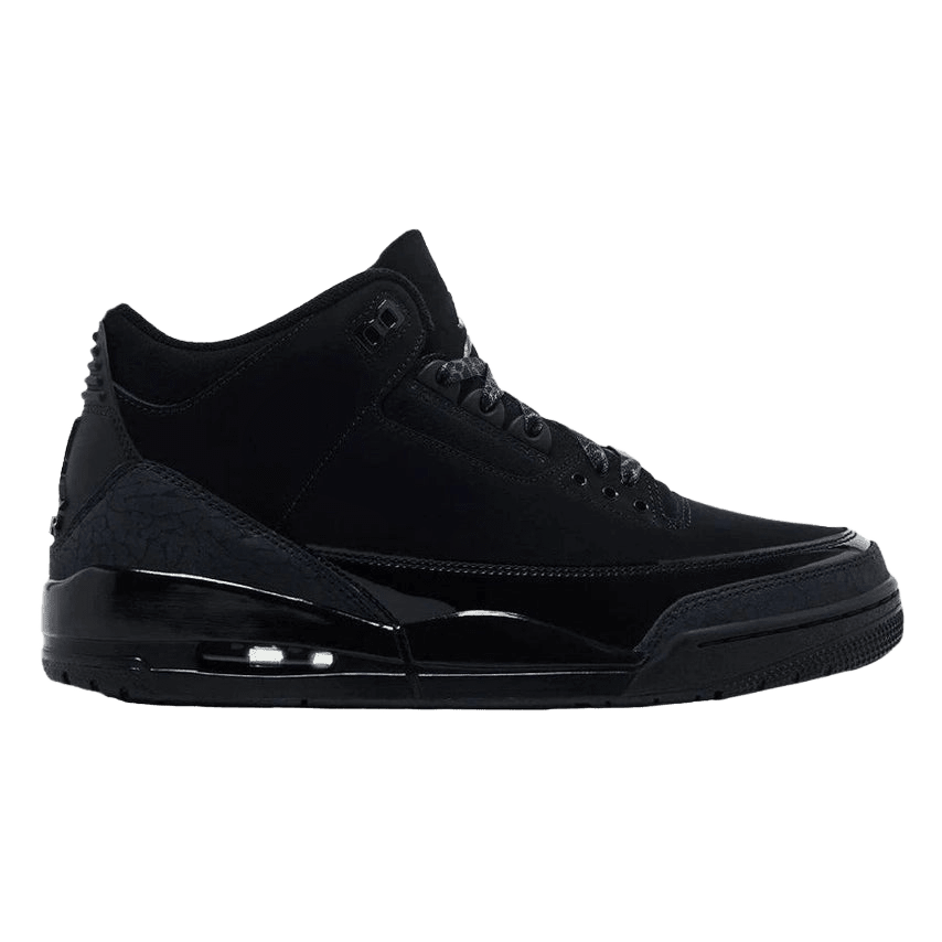 Air Jordan 3 Black Cat