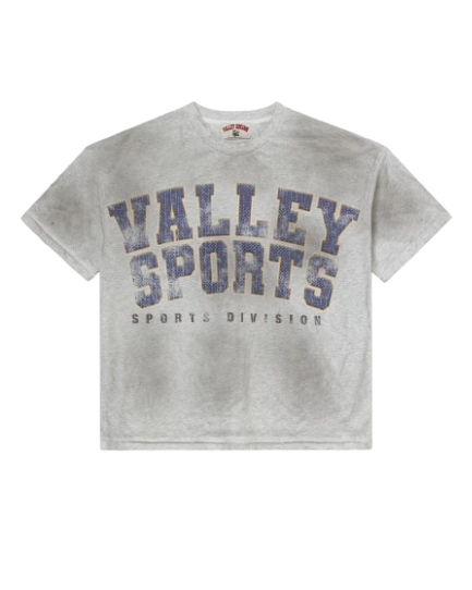 Vale Sports Division Tee Grey