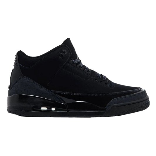 Air Jordan 3 Black Cat